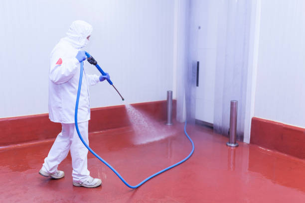Paint Preparation in San Clemente, CA